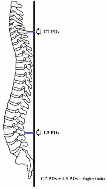 Fig 1.