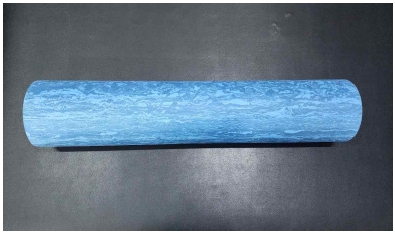 Fig 1.