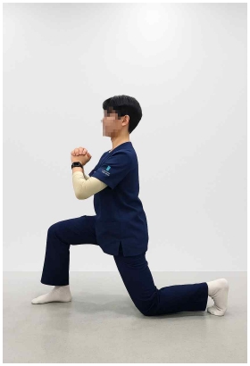 Fig 1.