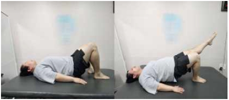 Fig 1. Fig 1.