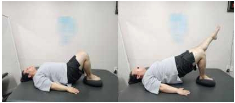 Fig 3. Fig 3.