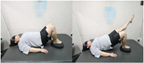 Fig 4. Fig 4.