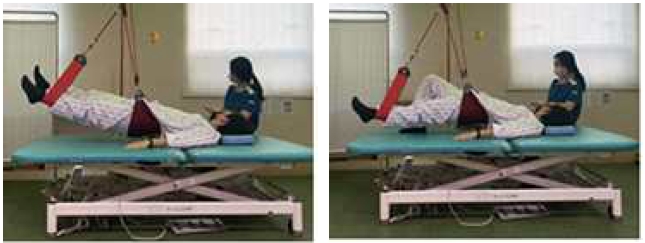 Figure 1. Figure 1.